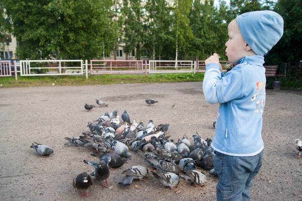 Niño blanco de tres años con sombrero azul, jeans y sandalias en un día fresco de verano alimenta con entusiasmo a las palomas grises
. - Foto, Imagen