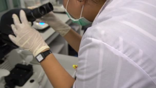 female scientist working in laboratory - Кадры, видео