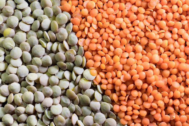 Зерна чечевицы и зеленой чечевицы
 - Фото, изображение