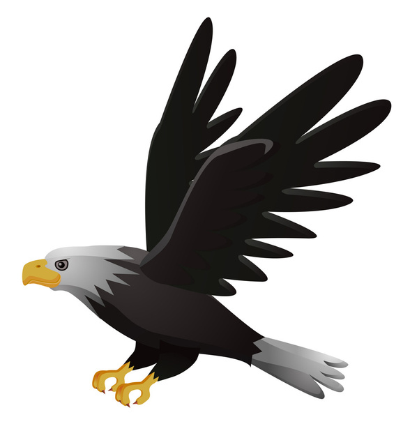 Eagle flying on white background drawing - Photo, Image
