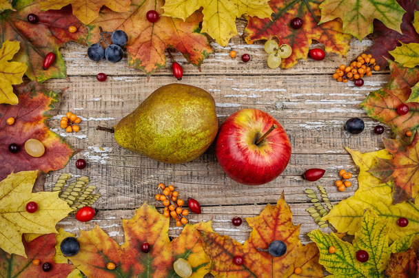 Feuilles d'automne, baies et fruits en arrière-plan
. - Photo, image