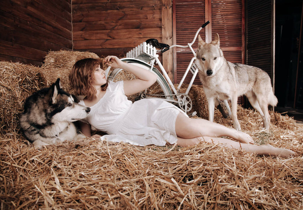 adorable plus la taille caucasienne fille aux cheveux roux dans une robe d'été blanche pose avec son gros chien Malamute meilleur ami sur une meule de foin dans une grange
 - Photo, image