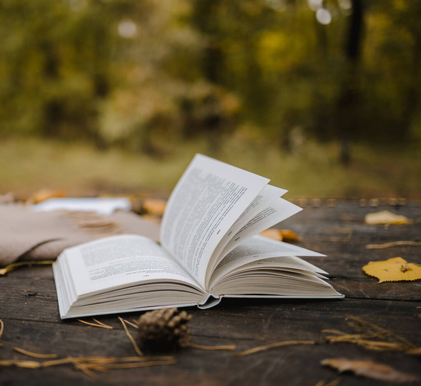 Az őszi parkban egy régi fából készült asztalon található egy nyitott könyv, egy kockás, egy füzér fényekkel, egy csésze sárga levél és egy bóják. Első látásra, homályosan. Őszi meleg sötét hangulat, lágy fókusz. - Fotó, kép