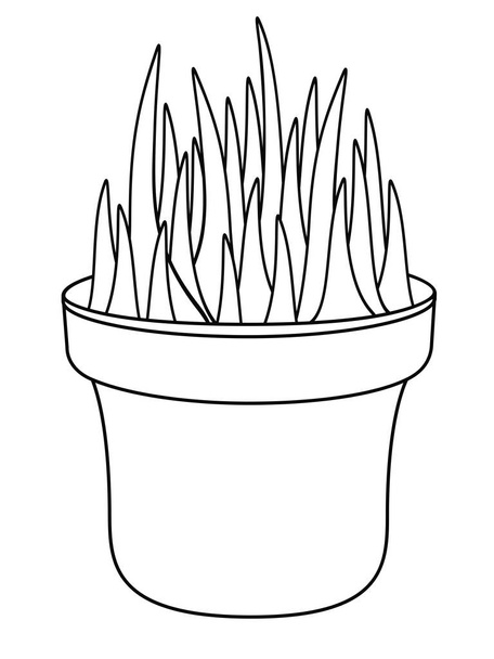Grass in a flower pot. Young, juicy, grass has sprouted in a cache-pot. Young sprouts, germinated seeds - seedlings for the garden - vector linear picture for coloring. Outline. Hand drawing. - Vektor, kép