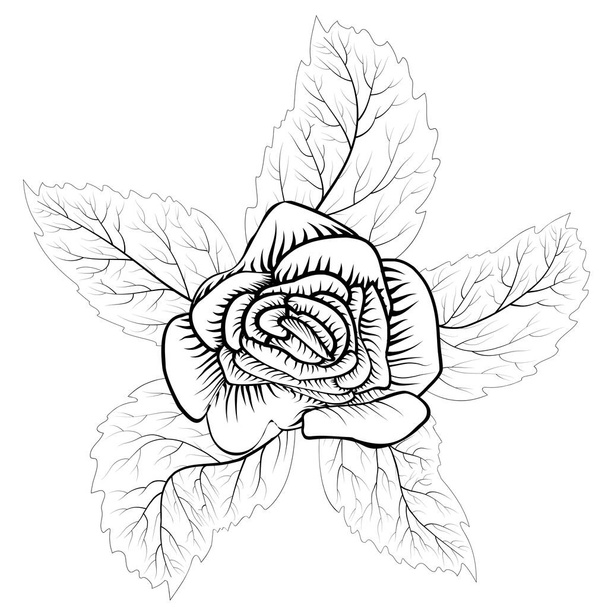 Cartoon rose for decoration design. Beautiful rose, great design for any purposes. Gift symbol. Tattoo element - Vector, Image