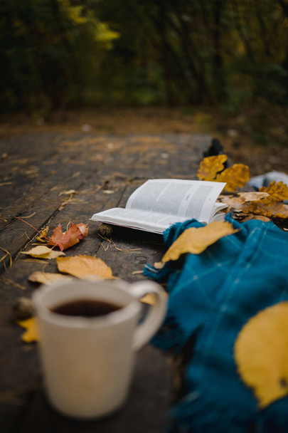 On an old wooden table in an autumn park lies an open book, a blue plaid, a garland with lights, a cup of yellow leaves and sos cones. Top view, in blur. Autumn warm dark mood, soft focus. - Photo, Image