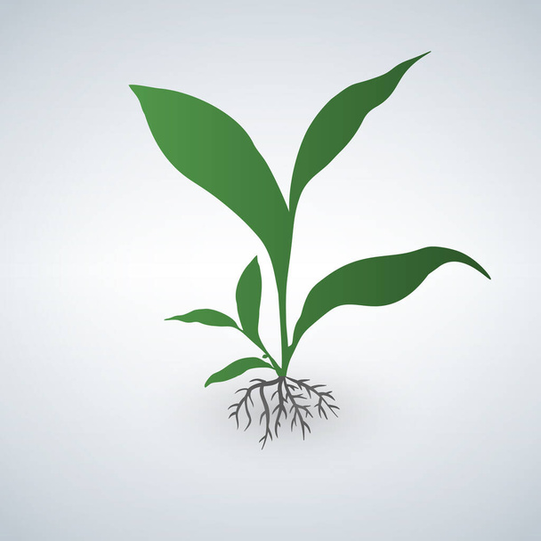 Linda planta verde. emblema verde
 - Vector, Imagen