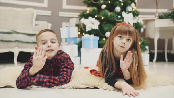 Young twins, brother and sister, gleefully congratulate everyone on Christmas morning. - Materiaali, video