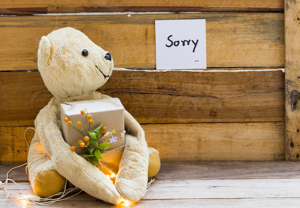 Es tut mir leid, Nachricht Karte Handschrift mit Teddybär halten Geschenkbox, Licht Dekoration Postkarte Stil auf Hintergrund hölzernen - Foto, Bild