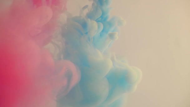 ピンクと青のインクが水に注ぐ。塗料の明るい色の拡散。着色された塗料はゆっくりと水に溶解します。液体中の煙の希釈,見て楽しい鮮やかな混合物. - 映像、動画