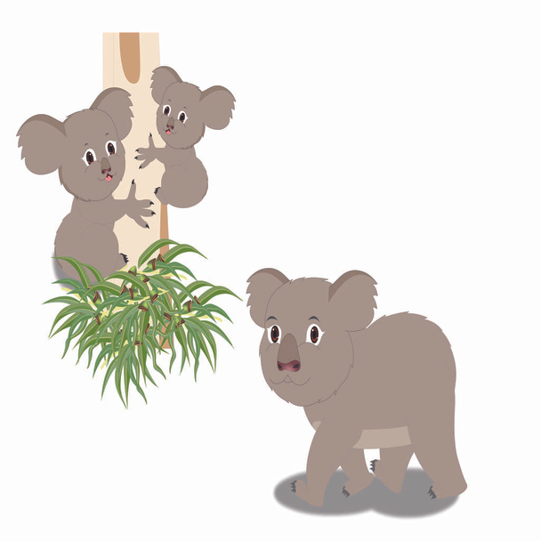 Šedý medvěd Koala se dvěma medvídky Koala - Cartoon Vector Image - Vektor, obrázek