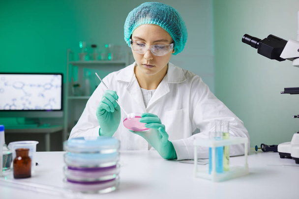 Muotokuva nuori nainen tilalla petrimalja työskennellessään lääketieteellisen tutkimuksen laboratoriossa, kopioi tilaa
 - Valokuva, kuva