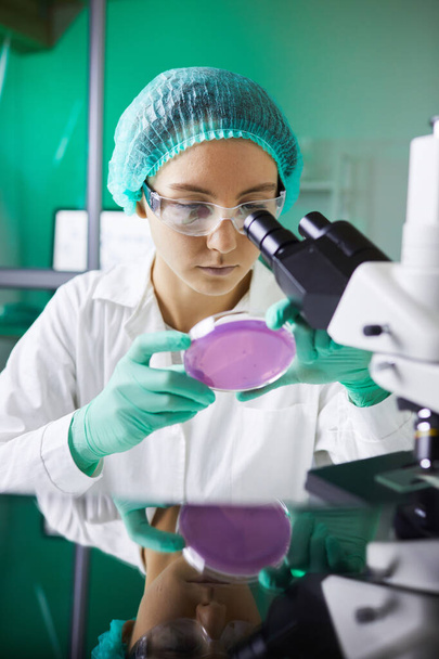 Portret van jonge vrouwelijke wetenschapper met petrischaal tijdens het werken aan onderzoek in medisch laboratorium - Foto, afbeelding