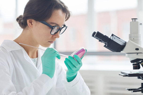 Zijaanzicht portret van jonge vrouw werken in het laboratorium, het voorbereiden van testmonsters in petrischaaltje voor microscoop onderzoek, kopieerruimte - Foto, afbeelding