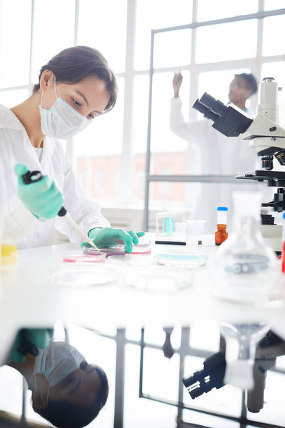 Veduta laterale ritratto di una giovane donna che lavora in laboratorio preparando dei campioni di prova in capsule di Petri per la ricerca medica
 - Foto, immagini