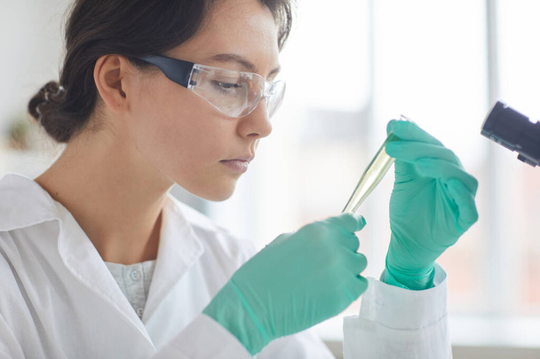 Side view portrait of beautiful young woman doing tests while working in medical laboratory, copy space - Photo, Image