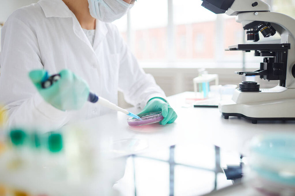 Oříznutý portrét mladé ženy připravující testovací vzorek v Petriho misce při práci na výzkumu v lékařské laboratoři - Fotografie, Obrázek