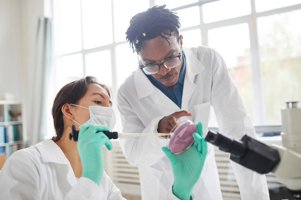 Kahden nuoren tiedemiehen muotokuva, joka työskentelee lääketieteellisessä laboratoriossa tarkastamassa bakteereja petrimaljassa, kopiotila
 - Valokuva, kuva