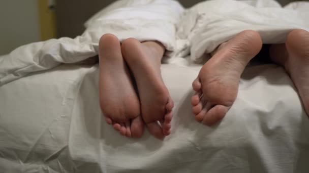 three pairs of legs in bed under a white blanket - Filmati, video