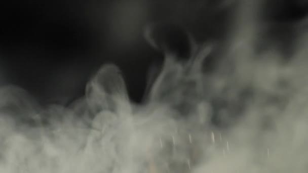 Grãos de café torrados jogados acima de através da fumaça branca no fundo preto. Smoky vapor perfumado fresco voando grãos de café. Movimento lento
.  - Filmagem, Vídeo