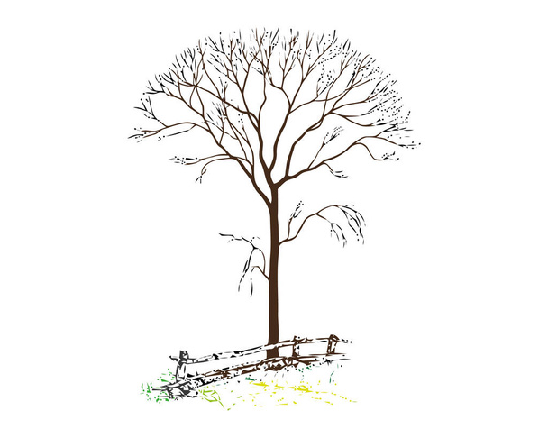 Vector drawing. In the old tree near the fence have grown new branches - Vector, Image