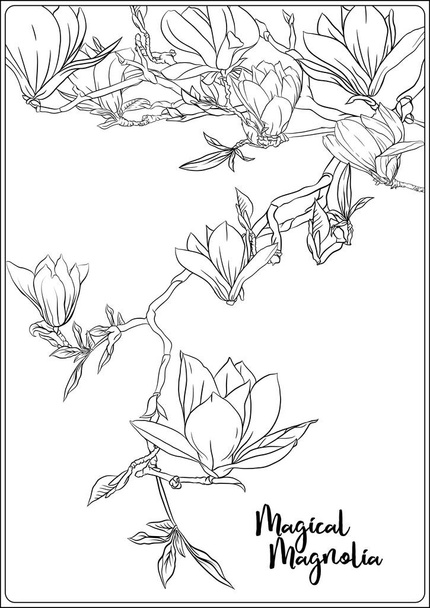 Magnolia tree branch - Вектор, зображення