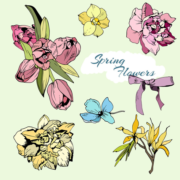 Colored set of spring flowers, tulips and narciss - Vektör, Görsel
