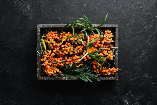 Fresh sea buckthorn berries on a twig. Top view. Free space for your text. - Φωτογραφία, εικόνα