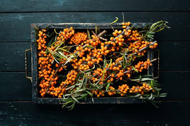 Sea buckthorn berries on black wooden background. Top view. Free space for your text. - 写真・画像