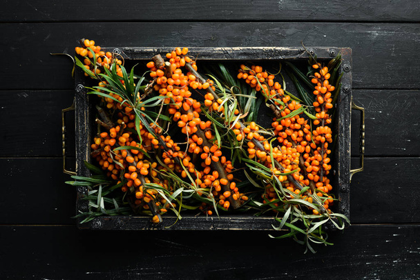 Sea buckthorn berries on black wooden background. Top view. Free space for your text. - Photo, Image