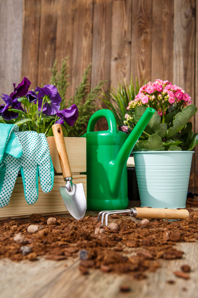 Gardening tools and flowers on the terrace in the garden - 写真・画像