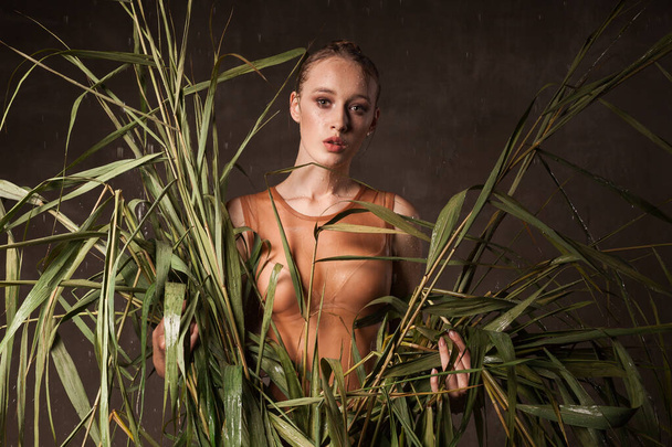 Beautiful young woman with green tropical plant cane grass wearing sexy swimsuit  posed under the rain near dark wall. Copy space background. - Foto, Bild