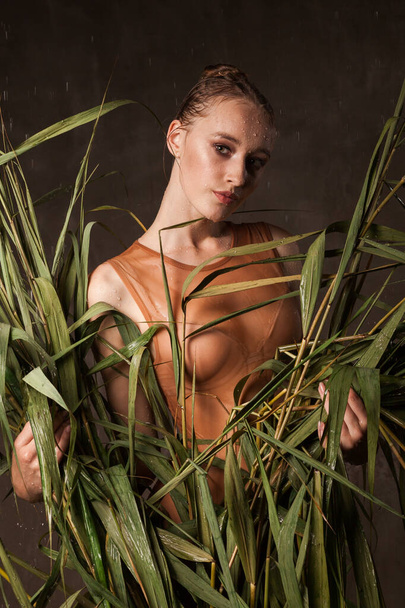 Beautiful young woman with green tropical plant cane grass wearing sexy swimsuit  posed under the rain near dark wall. Copy space background. - Foto, afbeelding