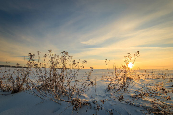  Kış mevsiminde buzla kaplı çimlerle güzel bir gün batımı - Fotoğraf, Görsel