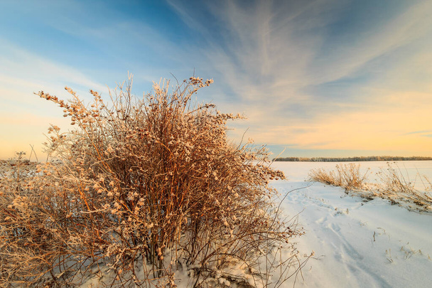  Kış mevsiminde buzla kaplı güzel günbatımı - Fotoğraf, Görsel