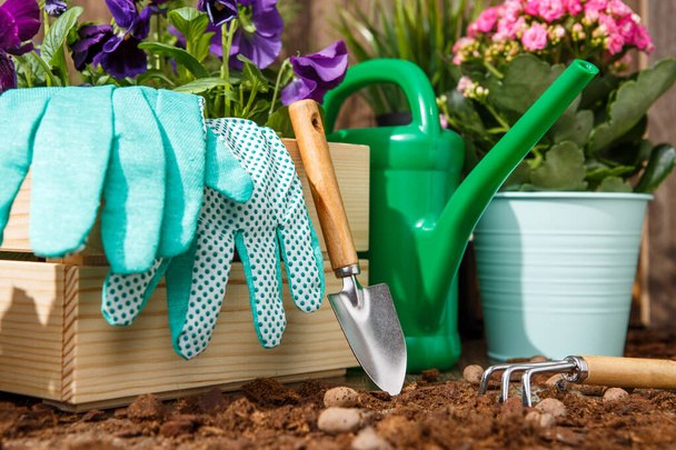 Εργαλεία κηπουρικής και λουλούδια στη βεράντα του κήπου - Φωτογραφία, εικόνα