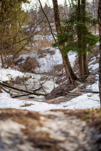 Image of snow trail and trees in forest. Winter landscape - Fotó, kép