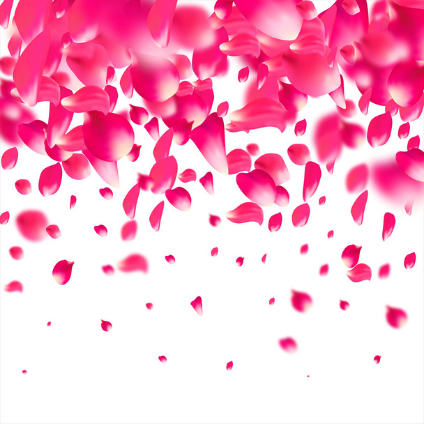 Pétalos rosados cayendo de rosas. Sakura flor pastel textura fondo
. - Vector, imagen