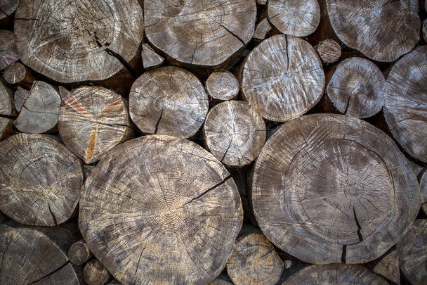 Foto di sfondo in legno da sezioni di tronco d'albero
 - Foto, immagini