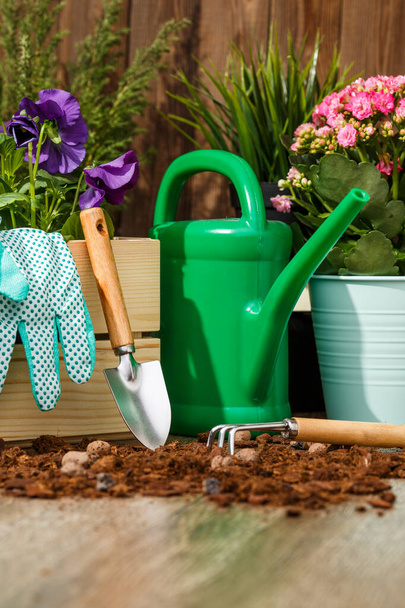 Садівництво інструменти і квіти на терасі в саду
 - Фото, зображення