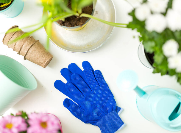 Photo of blue rubber gloves, flowers in pots, watering cans on empty white background - Photo, Image