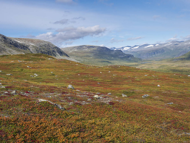 İsveç Laponya 'daki Sarek ulusal parkının güzel vahşi doğası. Karlı dağ zirveleri, nehir ve göl, huş ağacı ve çam ağaçları ormanı. Sonbaharın ilk renkleri, mavi gökyüzü beyaz bulutlar. - Fotoğraf, Görsel