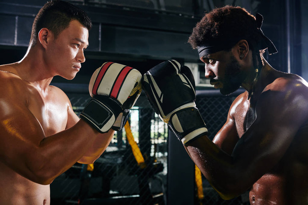 Sérieux boxeurs Muay Thai multi-ethniques dans des gants se regardant avec haine avant match
 - Photo, image