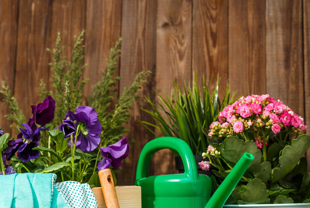 Narzędzia ogrodnicze i kwiaty na tarasie w ogrodzie - Zdjęcie, obraz
