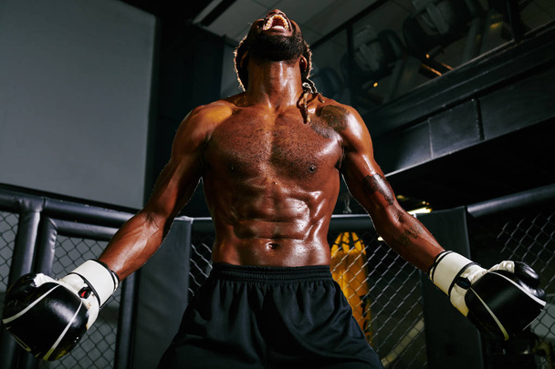 Boxeador musculoso sudoroso gritando fuerte para fijar su mente para ganar el partido
 - Foto, Imagen