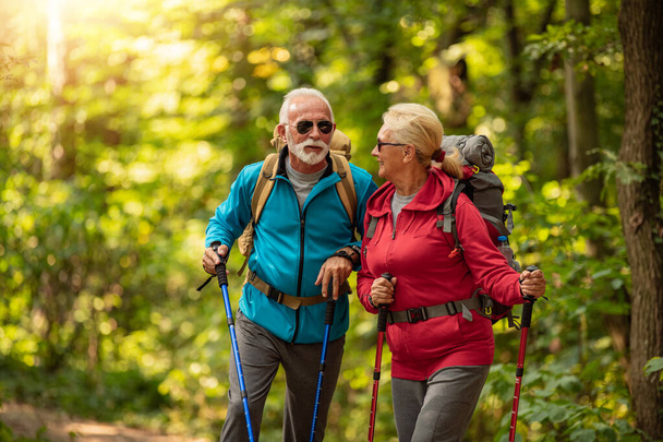 Happy senior couple is hiking in forest. Adventure, travel, hike and people concept. - Photo, Image