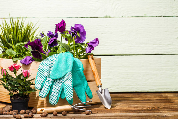 Puutarhanhoito työkaluja ja kukkia terassilla puutarhassa - Valokuva, kuva