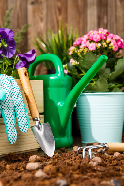 Gardening tools and flowers on the terrace in the garden - Foto, afbeelding