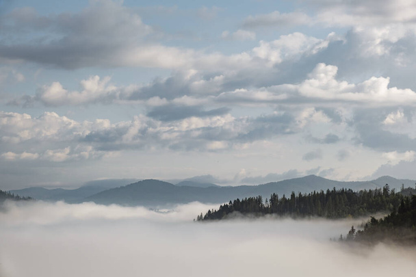 Misty landscape. Morning fog sunrise high in the Carpathian mountains. Ukraine. - 写真・画像