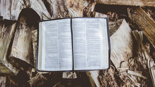 Overhead shot of an open bible on broken trees with a blurred background - Photo, image
